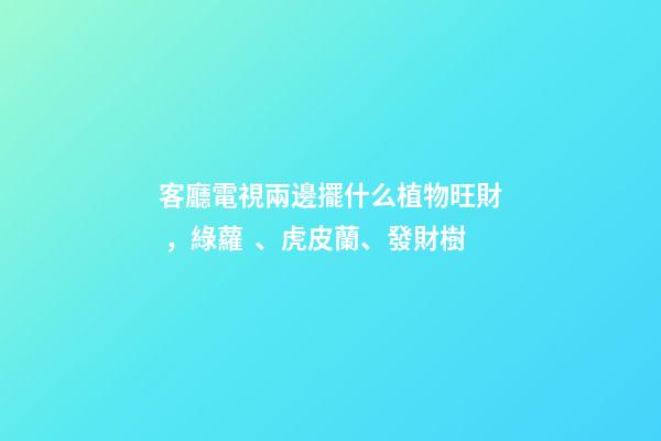 客廳電視兩邊擺什么植物旺財，綠蘿、虎皮蘭、發財樹